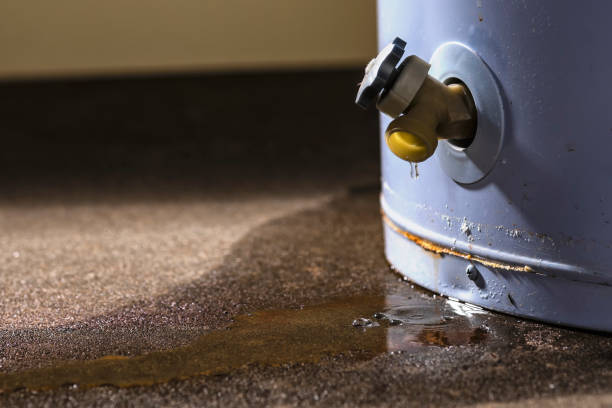 Best Water damage restoration near me  in Crete, NE
