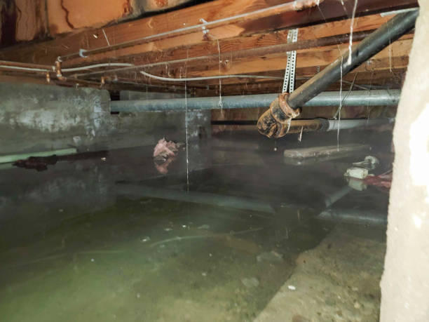 Best Ceiling water damage repair  in Crete, NE