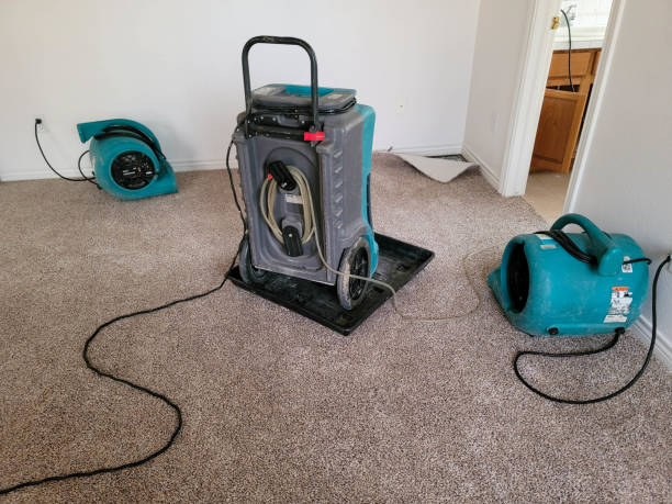 Best Water damage restoration near me  in Crete, NE