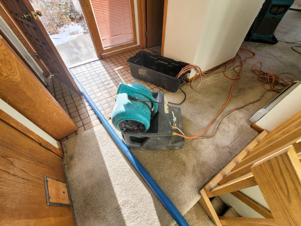 Best Commercial water damage restoration  in Crete, NE