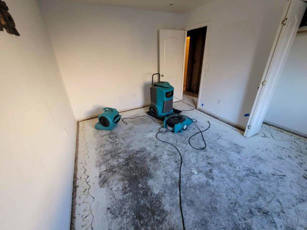 Best Mold removal after water damage  in Crete, NE