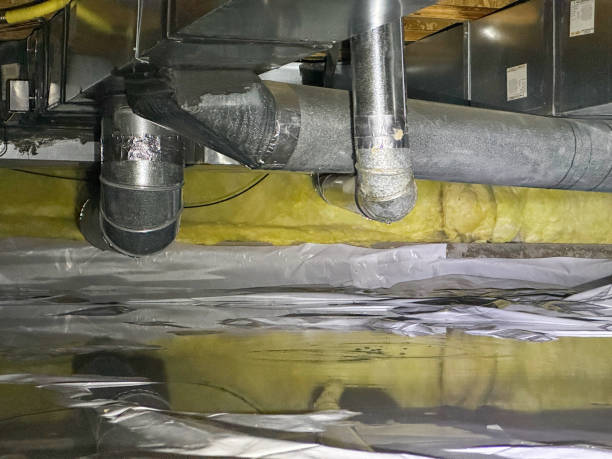 Best Basement water damage restoration  in Crete, NE
